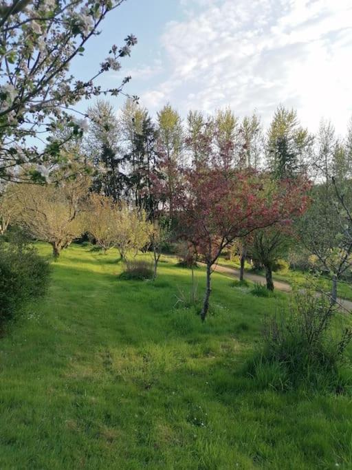 Chalet En Pleine Nature Au Bord D'Un Etang Lanvallay Exterior foto