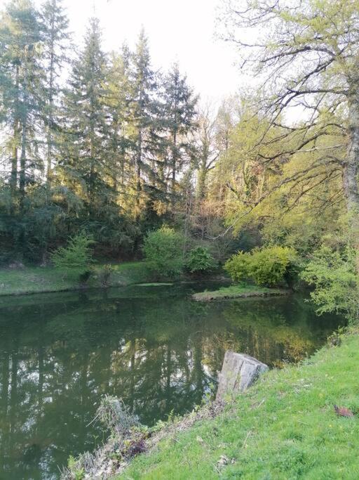 Chalet En Pleine Nature Au Bord D'Un Etang Lanvallay Exterior foto